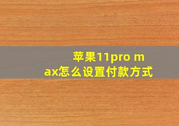 苹果11pro max怎么设置付款方式